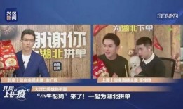 经济之声最新爆料,最新经济动态深度解析