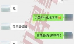 碧桂园最新爆料事件视频,视频揭露惊人内幕，真相令人震惊！