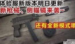 最新爆料新枪,革命性设计引领未来战场