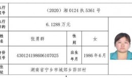 宁乡新闻爆料网站最新,聚焦最新爆料，揭秘本地热点事件